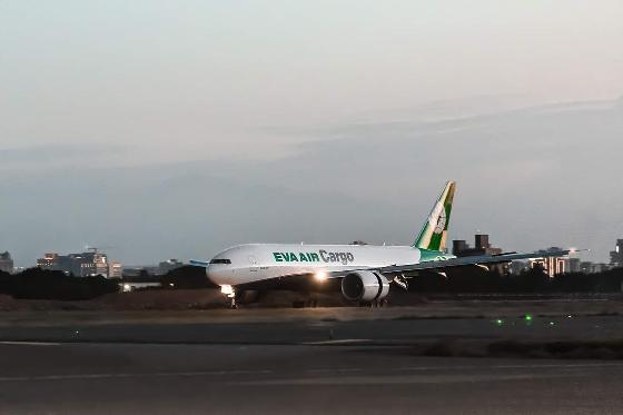 台湾産玉荷包ライチは、収穫後すぐに冷蔵保存され、日本へ直行便で空輸されます